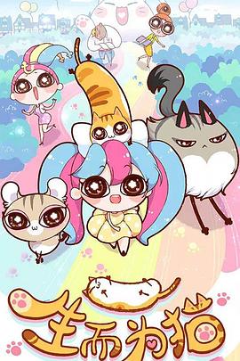 pos网站优化引流